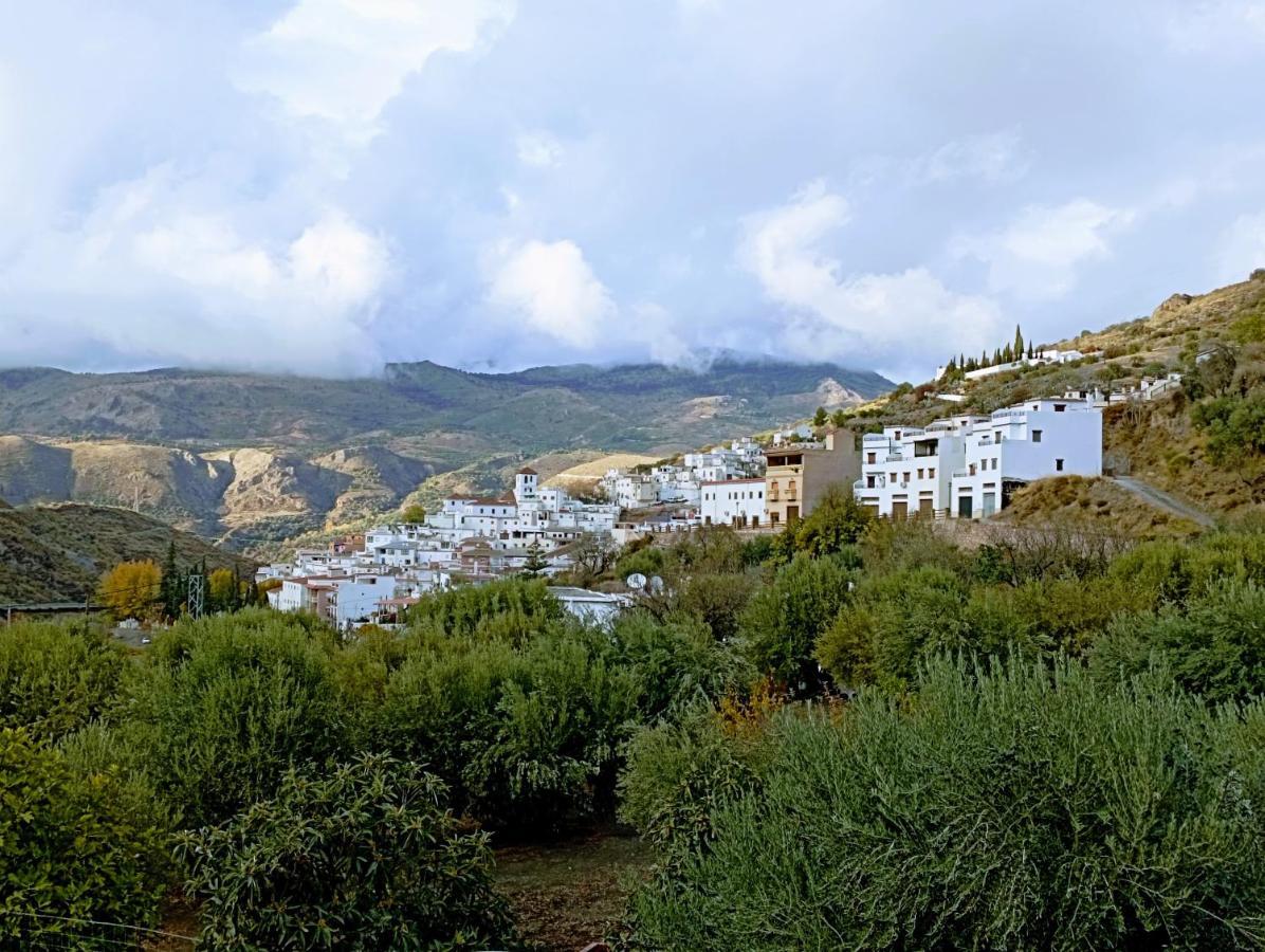El Almendro De Maruja Apartment Torviscón Exterior foto